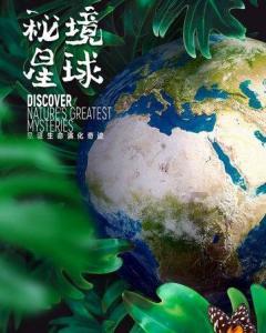 新股民如何炒股？新股民的入市法则是什么？